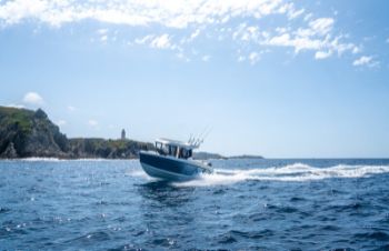 Bild 6 för Captur 705 Pilothouse